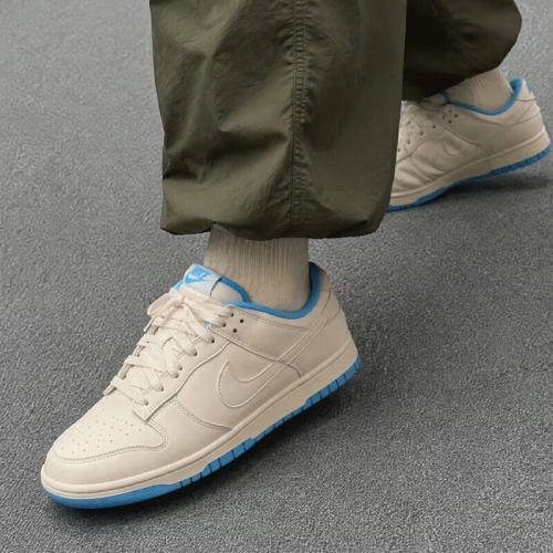 NIKE/耐克男鞋DUNK LOW RETRO低帮舒适百搭运动休闲鞋 HF5441-119