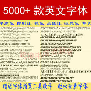 英文字体安装包下载ps ai cdr ae pr wps word手写科技感设计素材