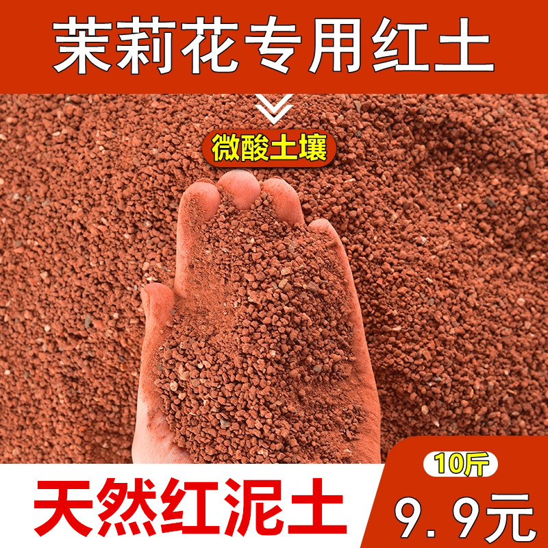 茉莉花土专用土红土微酸弱酸性基地直供铁元素丰富红泥土盆栽盆景