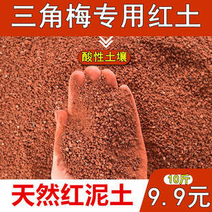 三角梅基地专用红土家庭园艺盆栽营养土微酸土壤解决不开花促开花