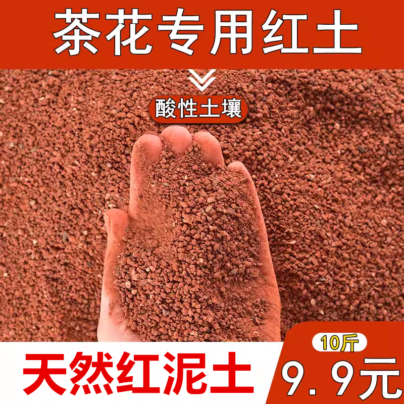 茶花专用营养土基地直供专用弱酸性土壤防黄化病利于生长铁元素,鲜花速递/花卉仿真/绿植园艺,介质/营养土,淘宝优惠券,粉丝福利购,淘宝优惠卷