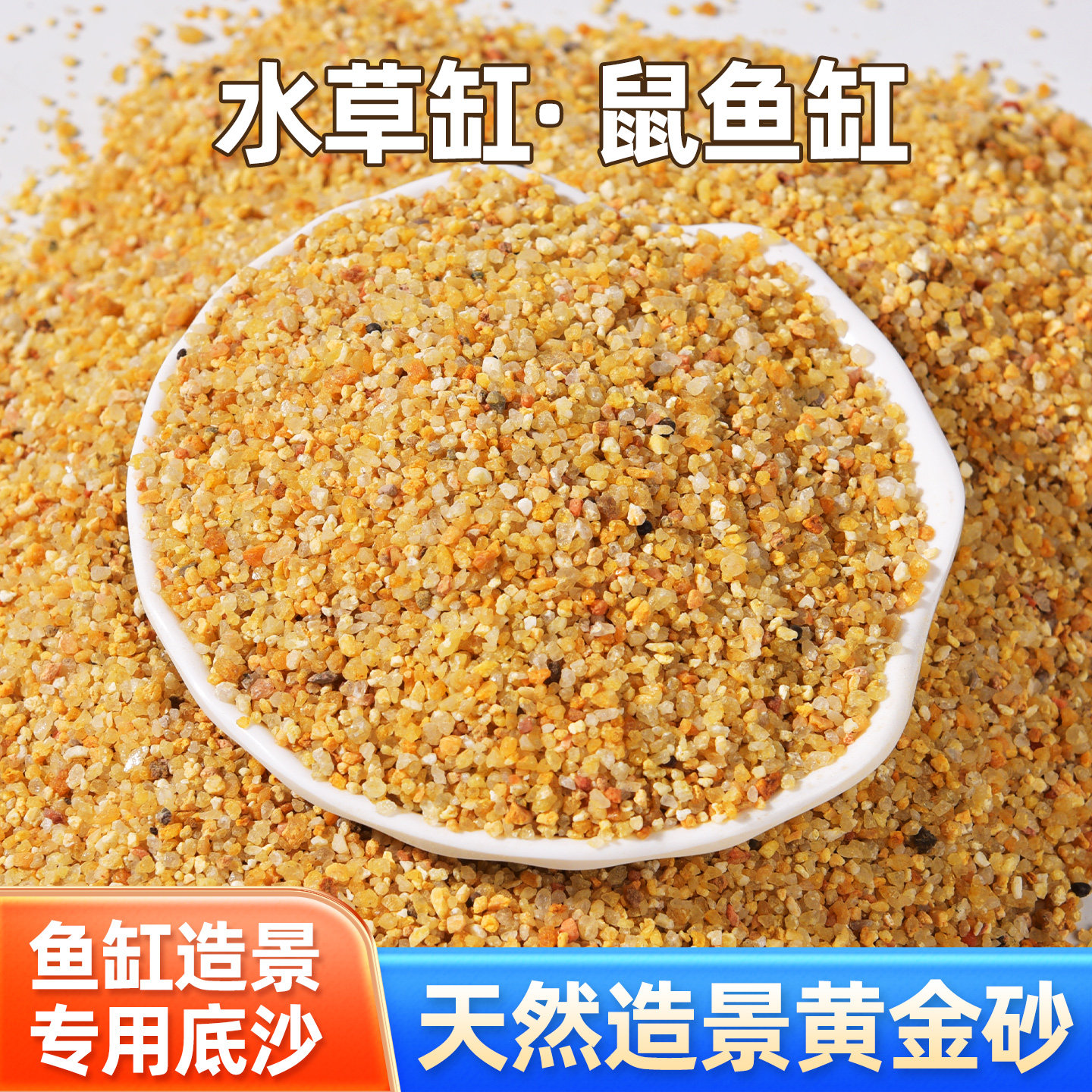 南美三湖鼠鱼天然细河沙底砂