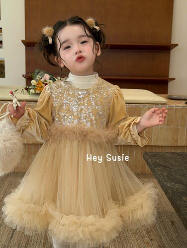 Susie26秋冬女童生日礼服裙女宝宝洋气公主裙儿童裙子纱裙连衣裙