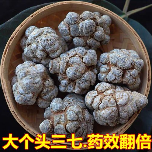 云南文山三七6头10克包邮可直播