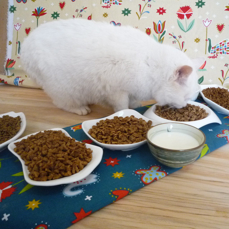 肥猫自制猫粮2.5kg幼猫成猫全阶段无添加美毛鱼肉天然猫食5斤包邮