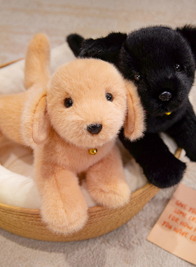 小狗狗公仔抱枕儿童抱睡娃娃超软毛绒玩具金毛哈士奇玩偶男生礼物