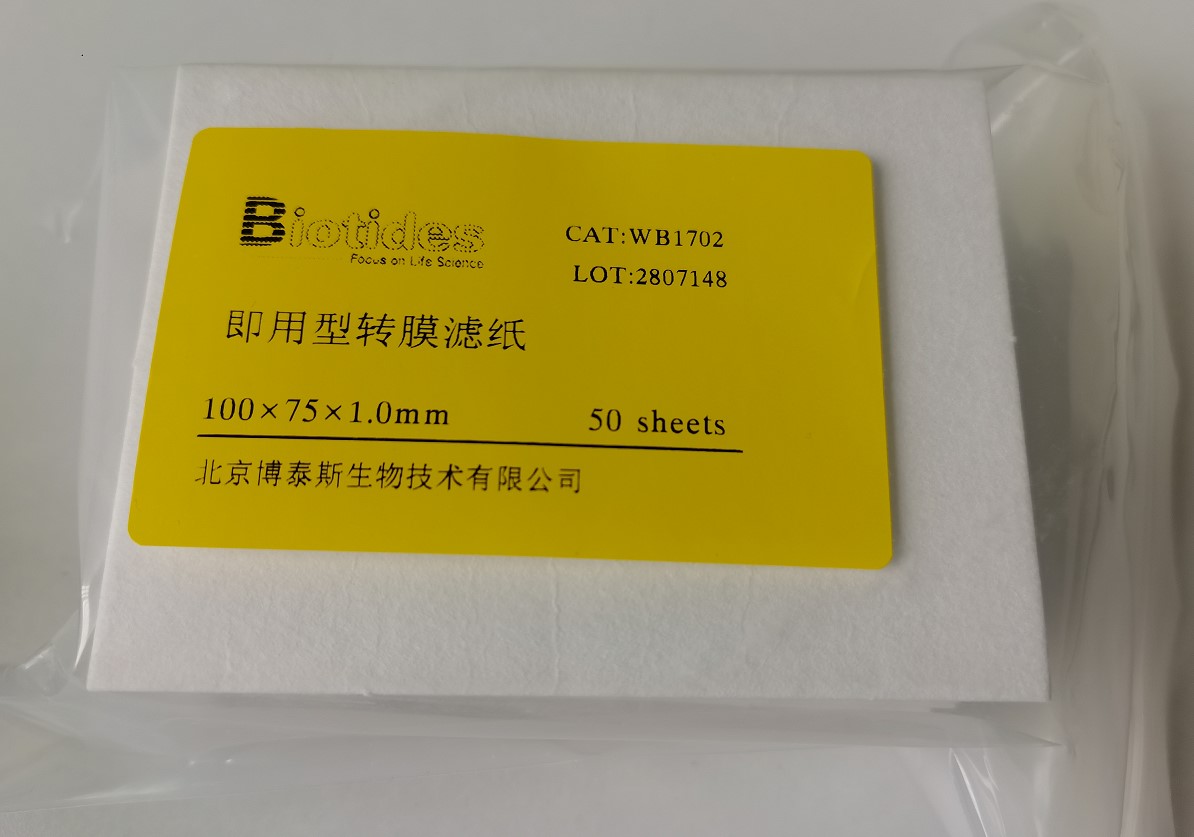 biotides 即用型转膜滤纸 转印滤纸 75*100mm 50张/包 wb1702