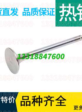 重汽D10豪沃A7 重汽T7H进气门 VG1560051001 重汽WD615进气门