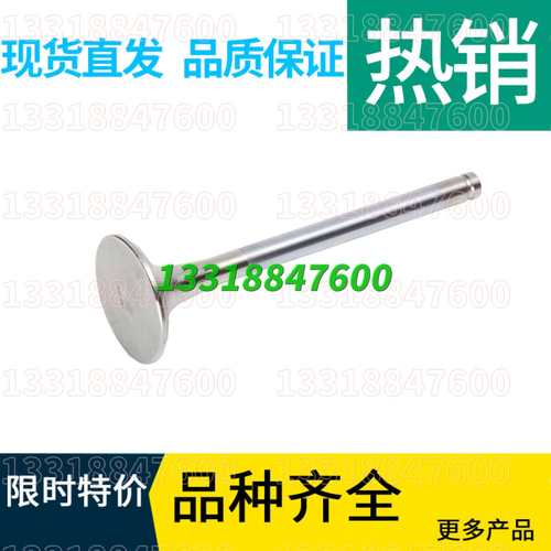 重汽D10豪沃A7 重汽T7H进气门 VG1560051001 重汽WD615进气门