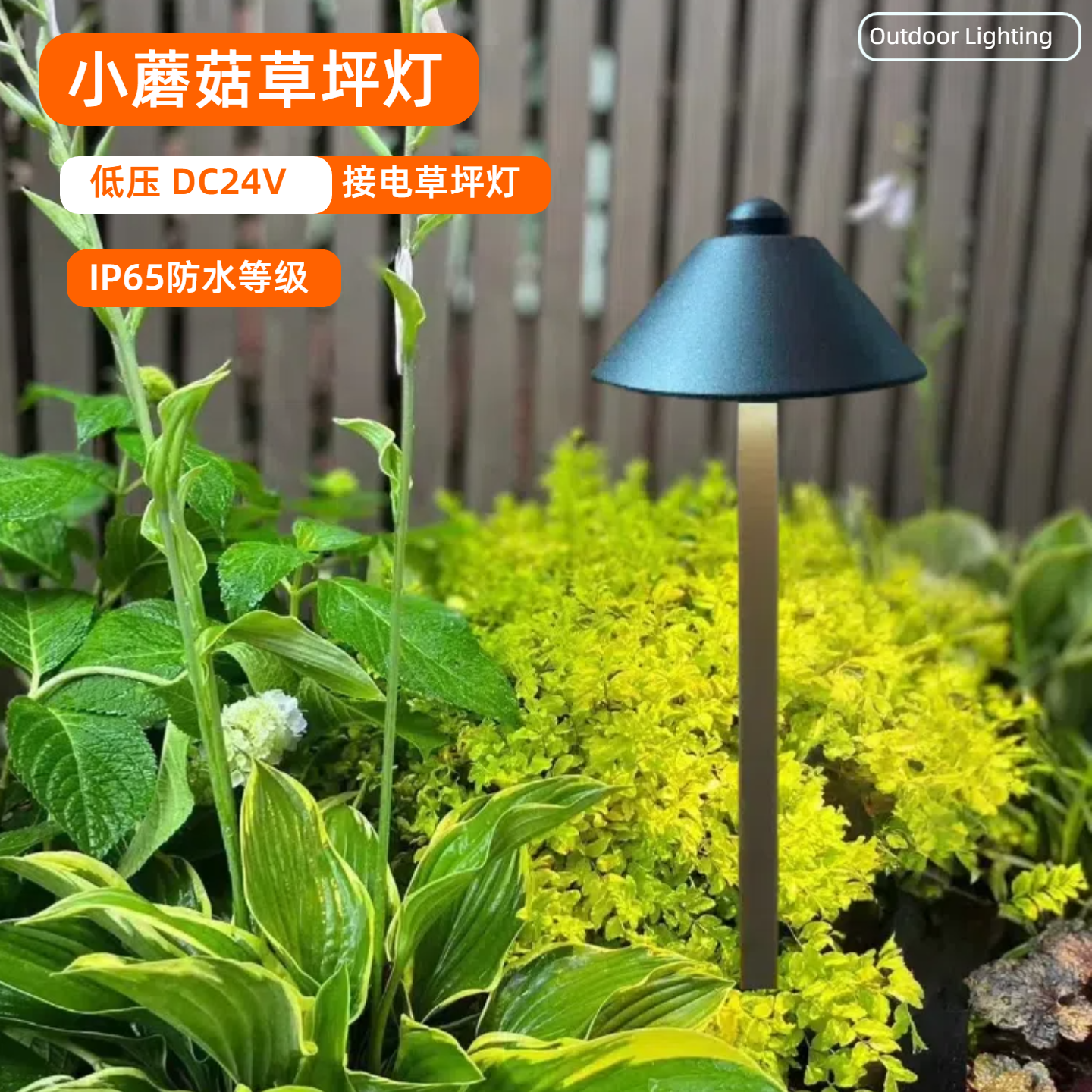 户外蘑菇灯低压草坪灯防水庭院灯