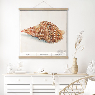 大法螺装饰画自然生物学海报海洋贝类海螺复古绘画学校科普挂画