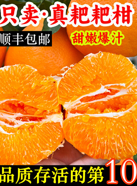 正宗四川春见耙耙柑现摘发货10斤装大果整箱粑粑丑桔橘子顺丰包邮