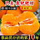 包邮 正宗四川春见耙耙柑现摘发货10斤装 大果整箱粑粑丑桔橘子顺丰