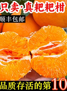 顺丰包邮四川春见耙耙柑10斤粑粑柑旗舰店杷杷柑丑桔橘子现摘发货