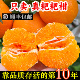 顺丰 包邮 四川春见耙耙柑10斤粑粑柑旗舰店杷杷柑丑桔橘子现摘发货