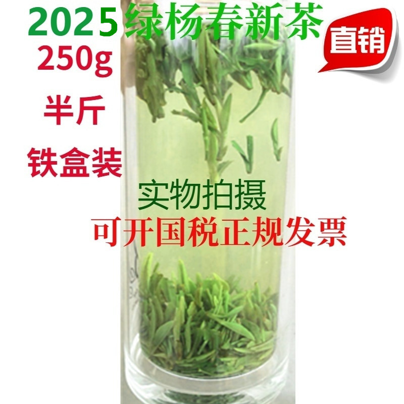 2025绿杨春新茶 雨前 扬州特产 仪征 捺山绿茶 绿阳 扬春茶叶250g