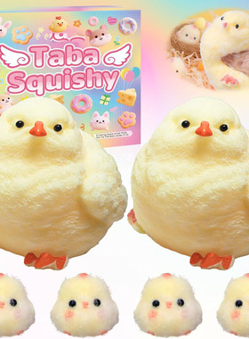 6Pcs Big Taba Squishy Toys Handmade Ultra Soft Chick小鸡套装