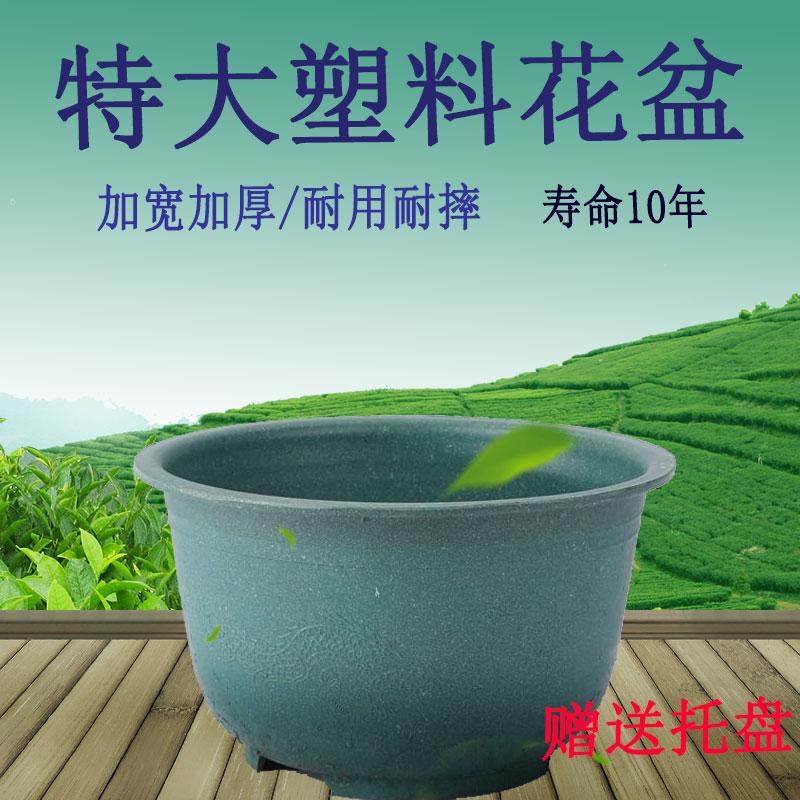 庭院种植大码龙缸清仓包邮荷花盆