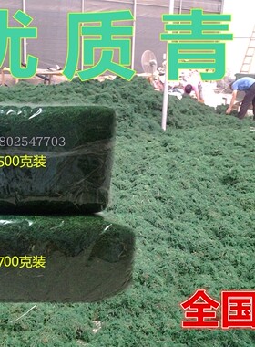 青苔水草绿色干苔藓微景观盆栽造景铺面草护盆草仿真绿植花卉材料