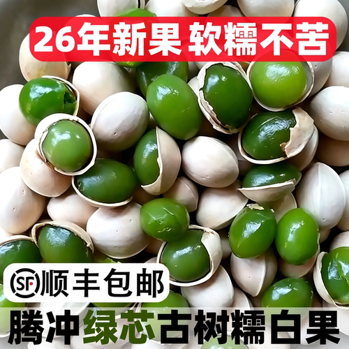 2026年云南腾冲银杏村糯白果绿芯古树新鲜银杏果日料烧鸟果仁干果