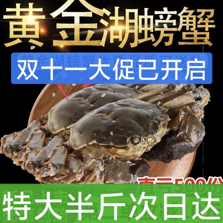 湖北专拍包邮 湖北大冶黄金湖大闸蟹 顺丰空运 死蟹包赔 黄石螃蟹