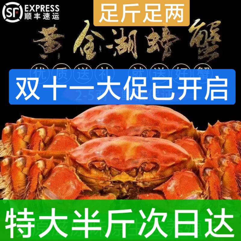 掌柜推荐3.5母4公味道鲜甜鲜活螃蟹黄金湖大闸蟹顺丰包邮死蟹包赔