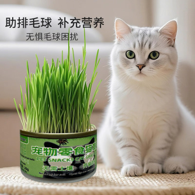 猫草罐头浇水3-5天即长温和排毛