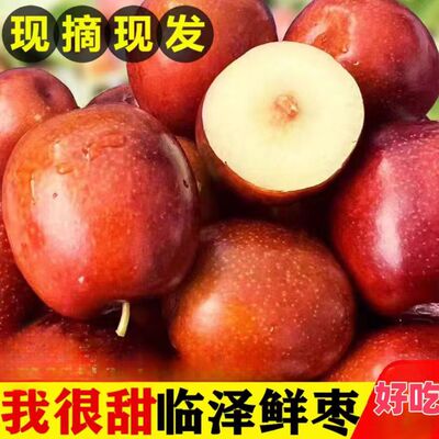甘肃特产临泽小枣脆甜枣