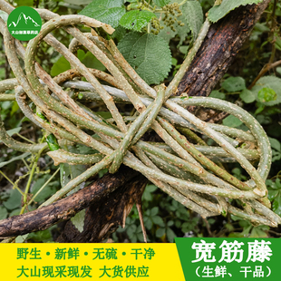 新鲜宽筋藤中华青牛胆中药材伸筋藤春根藤现采舒筋藤软筋藤松筋藤