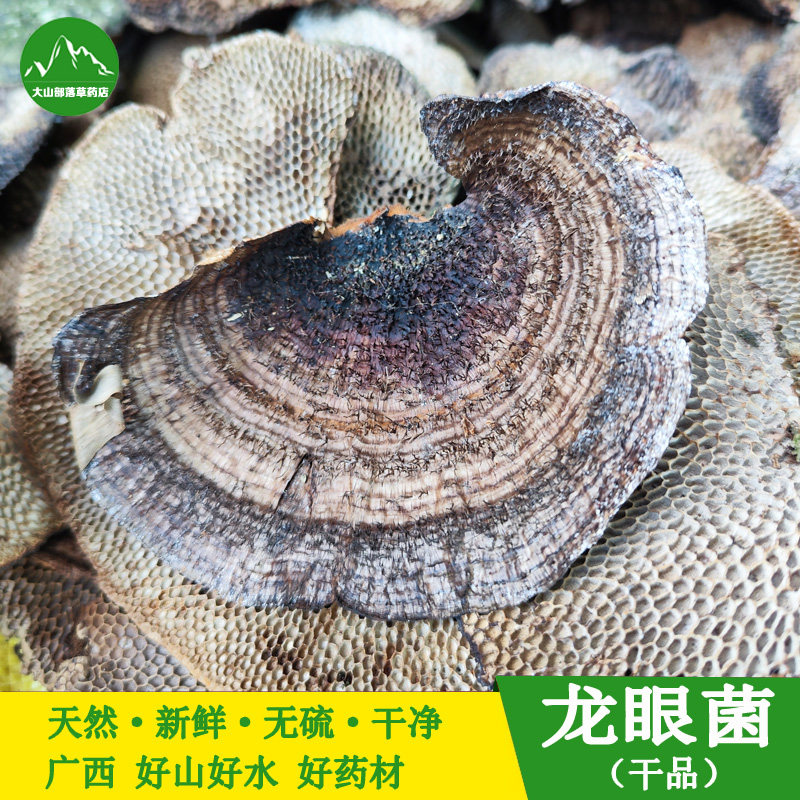 广西本地龙眼菌毛蜂窝菌毛蜂窝灵芝新货深山采摘蜂窝孔菌250克