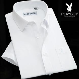 薄款 白衬衫 修身 男士 职业上班工装 夏季 型商务正装 衬衣 短袖