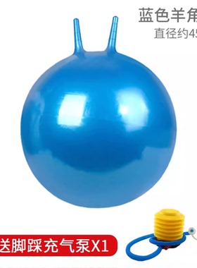 55cm充气羊角球加厚瑜伽健身运动跳跳球纯色减压摔送打气筒手柄球