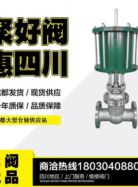 Z641W-16P气动不锈钢闸阀防爆调节双作用导热油污水高温蒸汽DN400