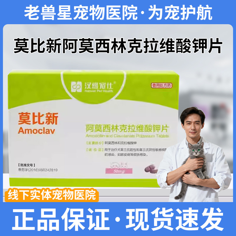 汉维宠仕莫比新阿莫西林克拉维酸钾片狗狗感冒消炎宠物皮肤感染