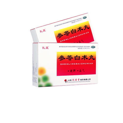 【孔孟】参苓白术丸6g*10袋/盒