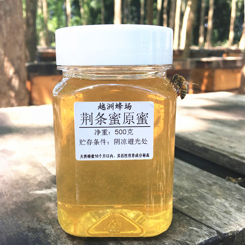 越洲蜂场 荆条蜜原蜜500g农家自产蜂蜜1斤全店满80元包邮