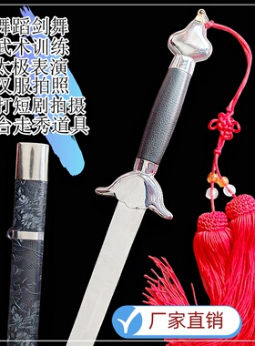 汉服拍照表演剑古典舞蹈剑舞太极剑走秀宝剑儿童武术软响剑未开刃