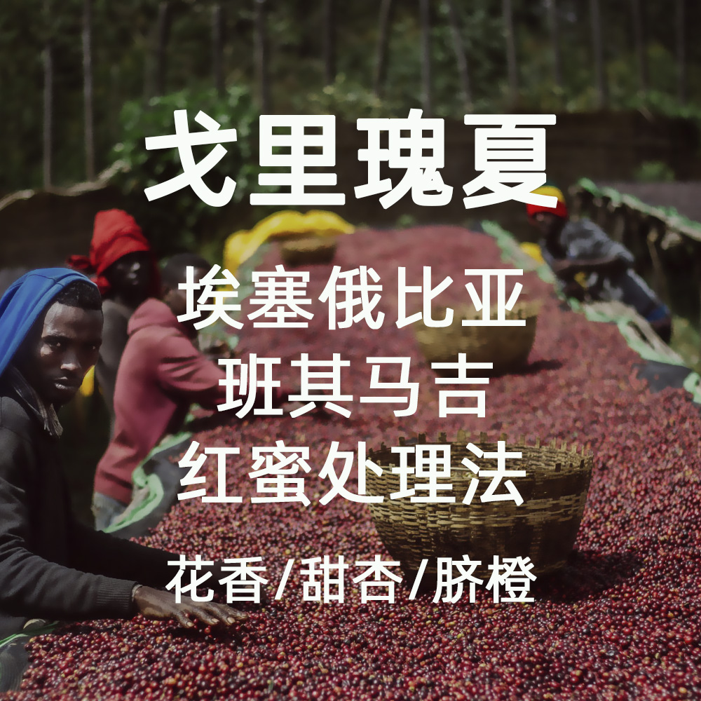 微墨咖啡埃塞俄比亚戈里瑰夏