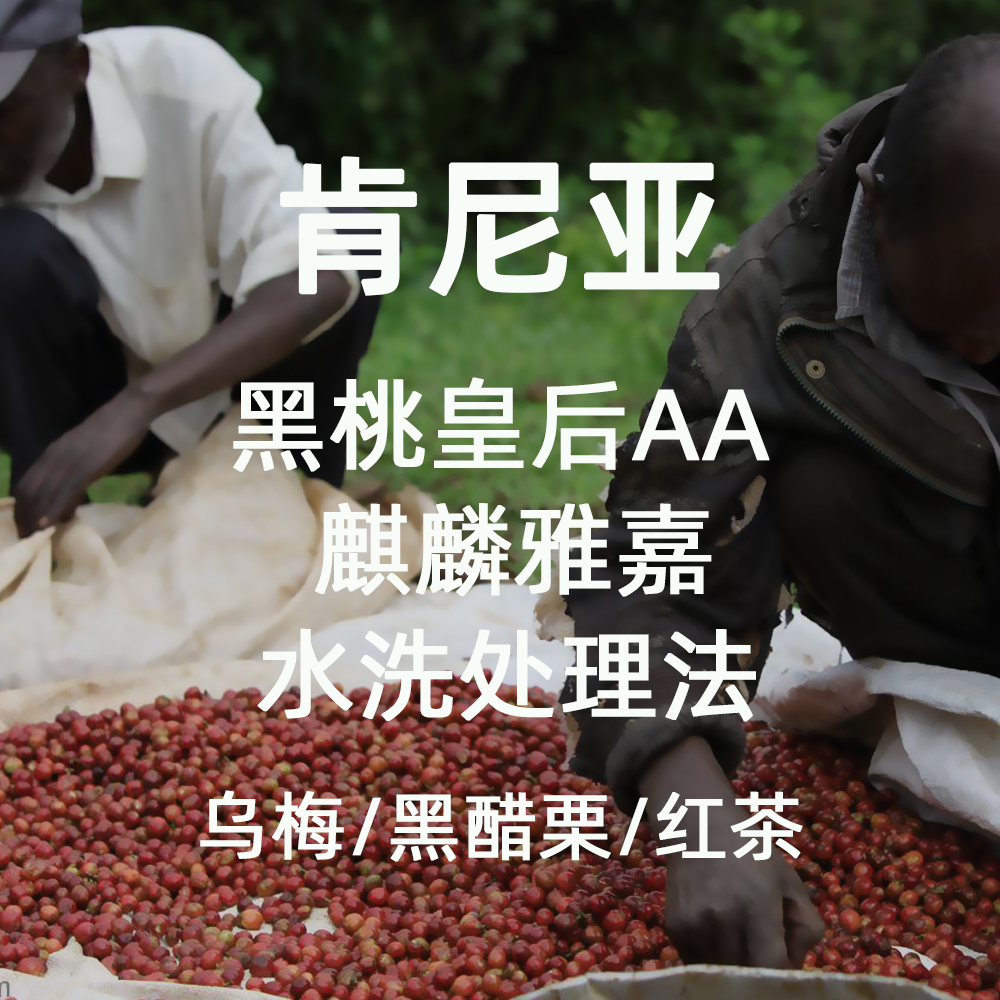 微墨咖啡手冲咖啡肯尼亚酸度明亮