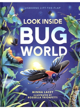 Usborne Lift-the-Flap Look Inside Bug World 尤斯伯恩翻翻书 看看虫子的世界 小学生百科科普读物 纸板书 英文原版进口儿童图书