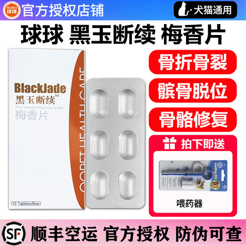 球球黑玉断续梅香片医院同款