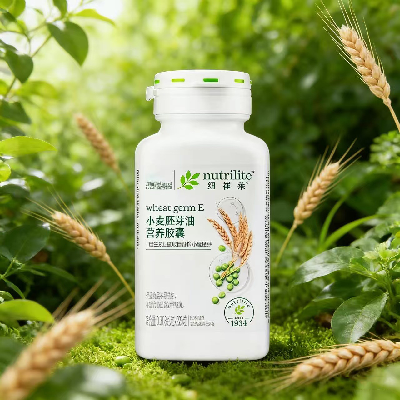 包邮去码安利小麦e225小麦胚芽油