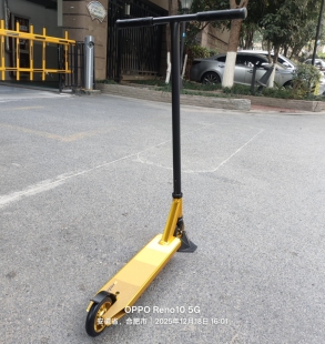 出口美国特技滑板车专业极限运动花样式刷街青少年学生校园代步