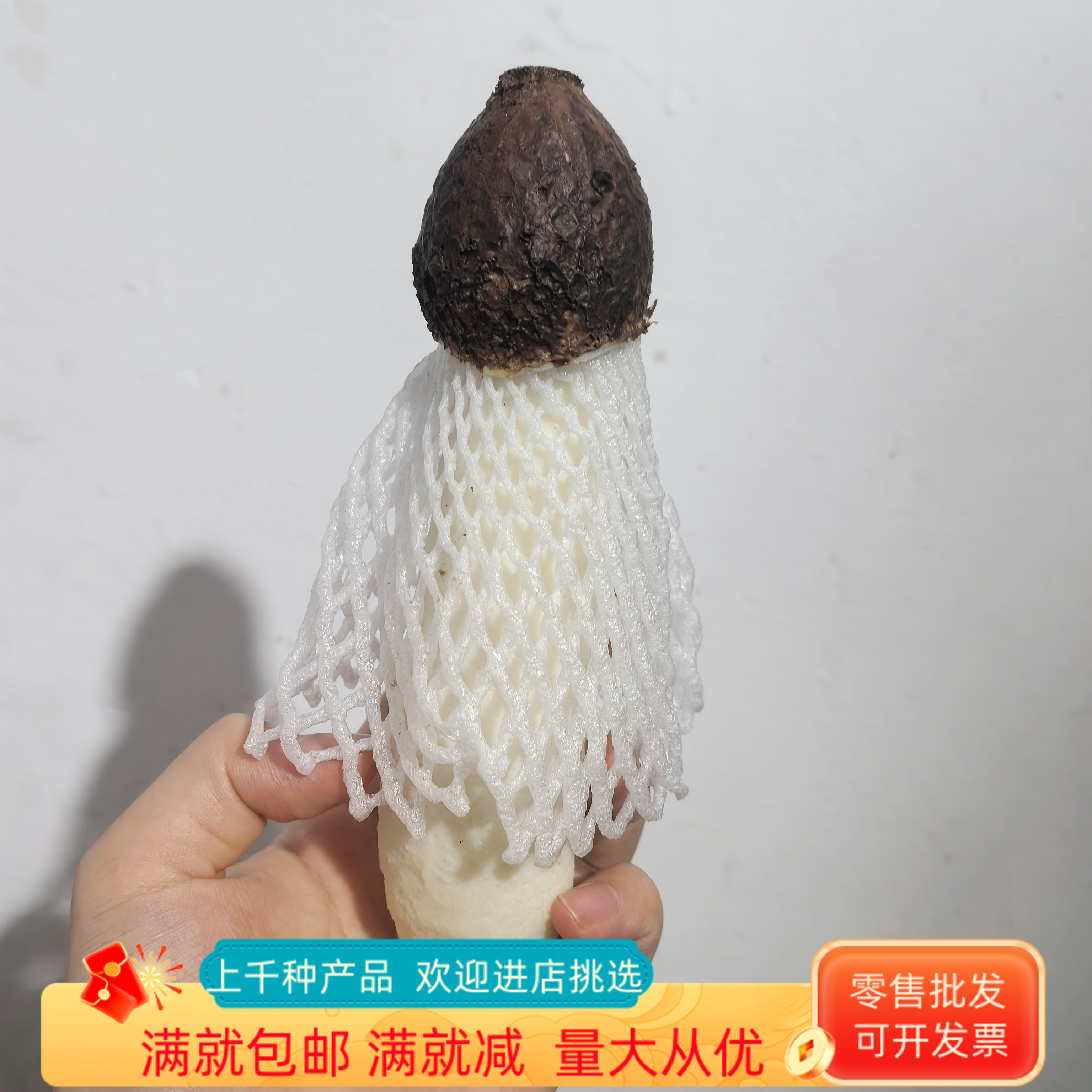 仿真竹荪模型仿真竹笙菌蘑菇装饰