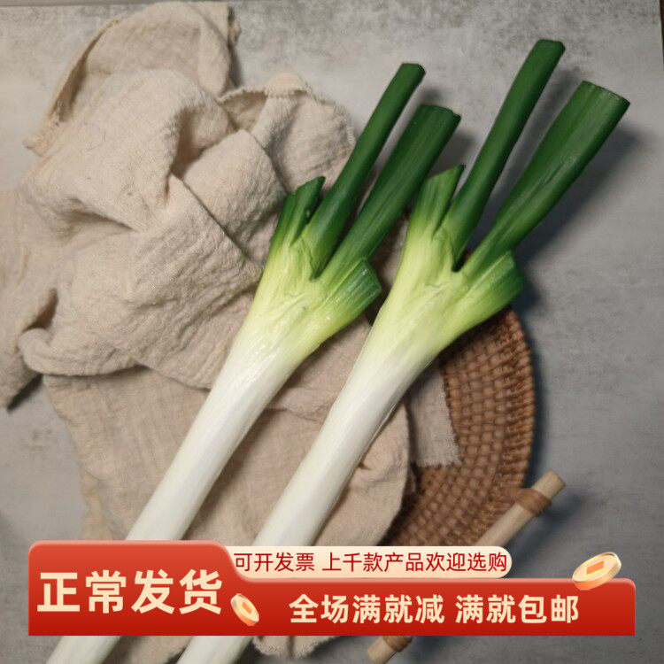 仿真大葱蒜农家乐蔬菜假模型厨房装饰品直播间展示儿童早教玩道具