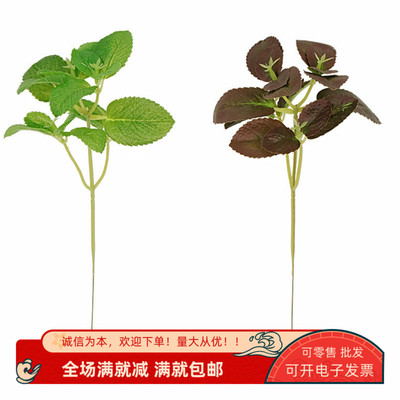 仿真薄荷叶子罗勒假插花家居花瓶装饰品摆件拍照手工食物点缀道具