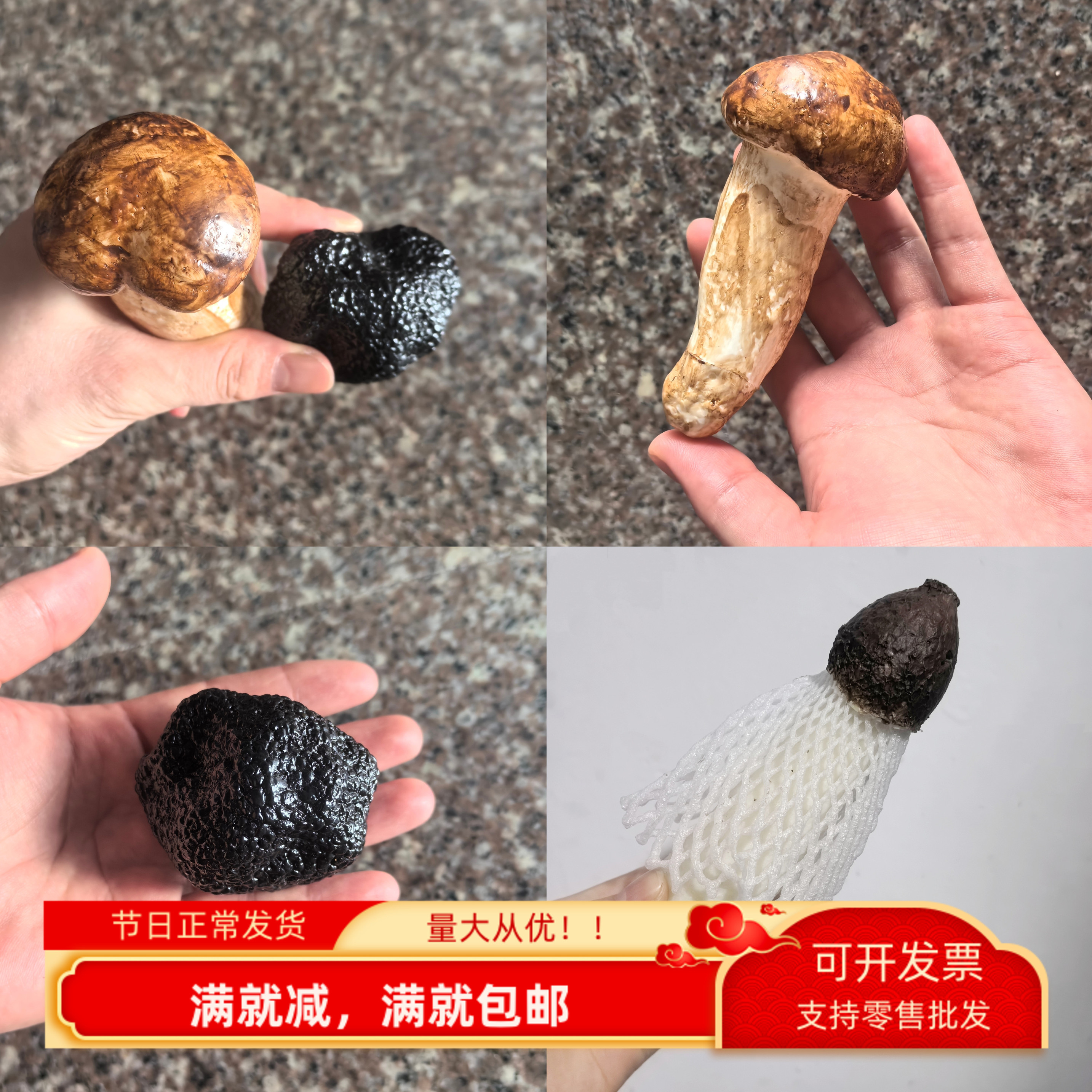 仿真竹荪模型假蘑菇蔬菜摆件道具
