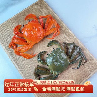 仿真大闸蟹模型假公母熟螃蟹鲜活河鲜餐厅陈列整蛊生物教学玩道具