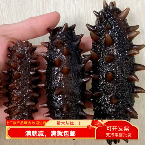 仿真装饰品食物模型道具摆件