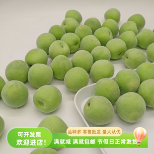 仿真青梅假水果盤模型假杏子廚房客廳裝 飾影視拍攝小道具擺臺樣品